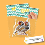 Zebra Finch Sticker | Finch Sticker | Zebra Finch Decal
