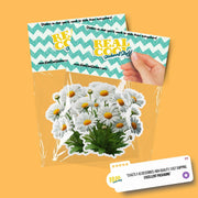 Daisys Sticker | Flowers Decal | Daisy Sticker