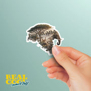 Botswana Sticker | African Safari Sticker | Botswana Decal