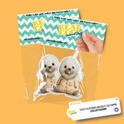 Baby Seal Sticker | Seal Sticker | Baby Seal Decal