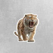 Sabertooth Tiger Sticker | Sabertooth Tiger Decal | Dinosaur Water Bottle Sticker