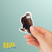 Bald Eagle Sticker | Eagle Sticker | American Eagle Decal