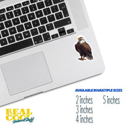 Bald Eagle Sticker | Eagle Sticker | American Eagle Decal