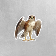 Hawk Sticker | Hawk Decal | Hawk