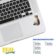 Cute Sitting Cat Sticker | Cat Sticker | Cat Decal