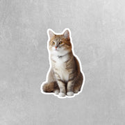 Cute Sitting Cat Sticker | Cat Sticker | Cat Decal