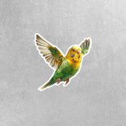 Parakeet Sticker | Yellow Parakeet Sticker