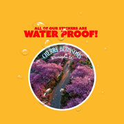 Cherry Blossom Sticker | Washington DC Sticker | Cherry Blossoms