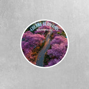 Cherry Blossom Sticker | Washington DC Sticker | Cherry Blossoms