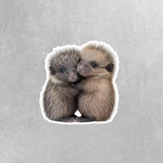 Hugging Porcupine Sticker | Cute Porcupine Decal for Laptop, Water Bottle, & Planner - Adorable Porcupine Gift for Any Occasion