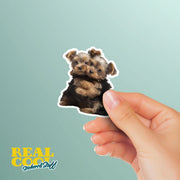 Hugging Yorkies Sticker | Cute Yorkies Decal for Laptop, Water Bottle, & Planner - Adorable Yorkies Gift for Any Occasion