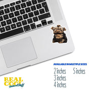 Hugging Yorkies Sticker | Cute Yorkies Decal for Laptop, Water Bottle, & Planner - Adorable Yorkies Gift for Any Occasion