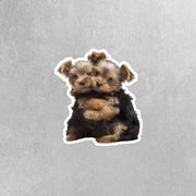 Hugging Yorkies Sticker | Cute Yorkies Decal for Laptop, Water Bottle, & Planner - Adorable Yorkies Gift for Any Occasion