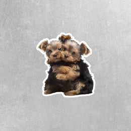 Hugging Yorkies Sticker | Cute Yorkies Decal for Laptop, Water Bottle, & Planner - Adorable Yorkies Gift for Any Occasion