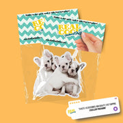 Hugging French Bulldogs Sticker | Cute French Bulldogs Decal for Laptop, Water Bottle, & Planner - Adorable French Bulldogs Gift