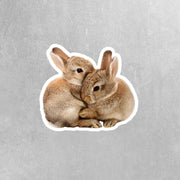 Hugging Bunnies Sticker | Cute Bunnies Decal for Laptop, Water Bottle, & Planner - Adorable Bunnies Gift