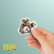 Hugging Squirrels Sticker | Cute Squirrels Decal for Laptop, Water Bottle, & Planner - Adorable Squirrels Gift