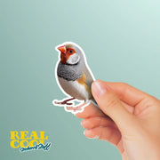 Zebra Finch Sticker | Finch Sticker | Zebra Finch Decal