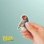 Zebra Finch Sticker | Finch Sticker | Zebra Finch Decal