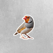 Zebra Finch Sticker | Finch Sticker | Zebra Finch Decal