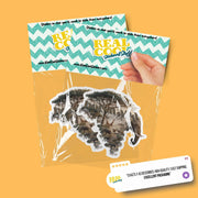 Botswana Sticker | African Safari Sticker | Botswana Decal