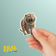 Sabertooth Tiger Sticker | Sabertooth Tiger Decal | Dinosaur Water Bottle Sticker