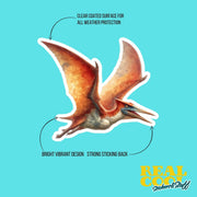 Pteranodon Sticker | Pteranodon Decal | Dinosaur Water Bottle Sticker