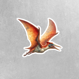 Pteranodon Sticker | Pteranodon Decal | Dinosaur Water Bottle Sticker