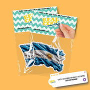 Paraguay Flag Sticker | Paraguay Flag Sticker | Paraguay Flag Decal