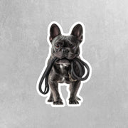 French Bulldog Sticker | Frenchie Sticker | Walk The Dog Sticker