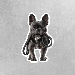 French Bulldog Sticker | Frenchie Sticker | Walk The Dog Sticker