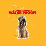 Briard Sticker | Briard Dog Sticker | Walk The Dog Sticker