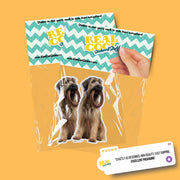 Briard Sticker | Briard Dog Sticker | Walk The Dog Sticker