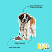 St Bernard Sticker | Saint Bernard Sticker | Walk The Dog Sticker