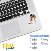 St Bernard Sticker | Saint Bernard Sticker | Walk The Dog Sticker