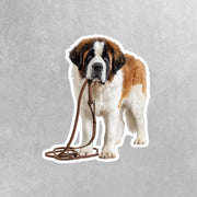 St Bernard Sticker | Saint Bernard Sticker | Walk The Dog Sticker