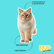 Thai Red Point Cat Sticker | Cat Sticker | Cat Decal