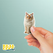 Thai Red Point Cat Sticker | Cat Sticker | Cat Decal