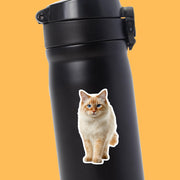 Thai Red Point Cat Sticker | Cat Sticker | Cat Decal