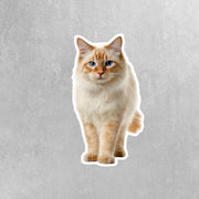 Thai Red Point Cat Sticker | Cat Sticker | Cat Decal