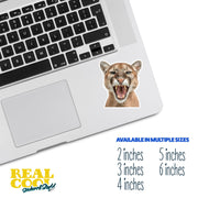 Puma Sticker | Puma Head Decal | Puma Roar Sticker