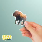 Lion Sticker | Lion Walk Decal | King Of The Jungle Decal