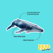 Blue Whale Sticker | Whale Sticker | Whale Decal