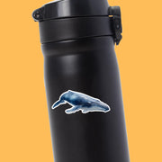 Blue Whale Sticker | Whale Sticker | Whale Decal