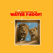Lion Sticker | Lion Stickers | Lion Decal | Lion Couple in a Box Sticker