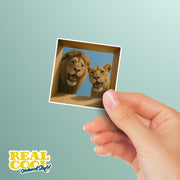 Lion Sticker | Lion Stickers | Lion Decal | Lion Couple in a Box Sticker