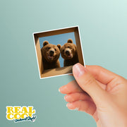Grizzly Bear Sticker | Bear Sticker | Grizzly Bears in a Box Sticker