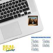 Grizzly Bear Sticker | Bear Sticker | Grizzly Bears in a Box Sticker