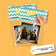 Grizzly Bear Sticker | Bear Sticker | Grizzly Bears in a Box Sticker