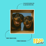 Rottweiler Sticker | Rottweiler Decal | Rotty Sticker